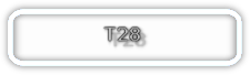T28